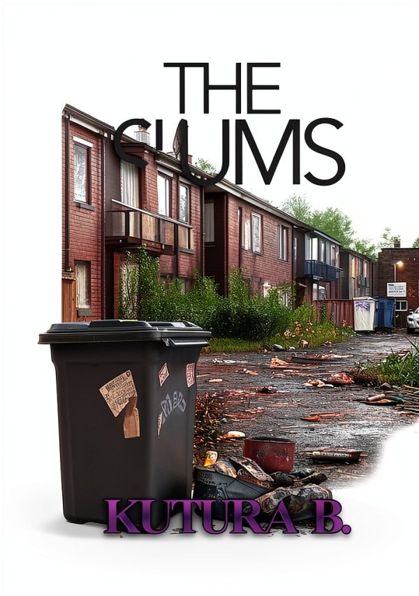 The Slums Urban Erotica Kindle Book Series Black Fiction-0