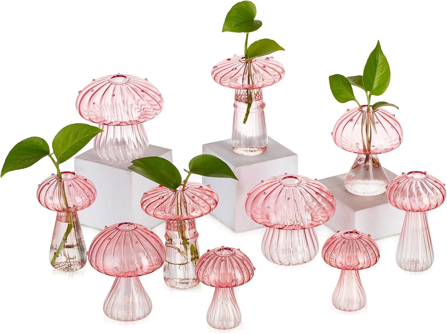 Glasseam mushroom glass terrariums displayed on a wooden table with small plants