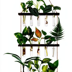 Mkono Wall Hanging Propagation Station Wooden-0