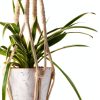 MIPON Boho Cotton Hanging Plant Hanger Ivory-2