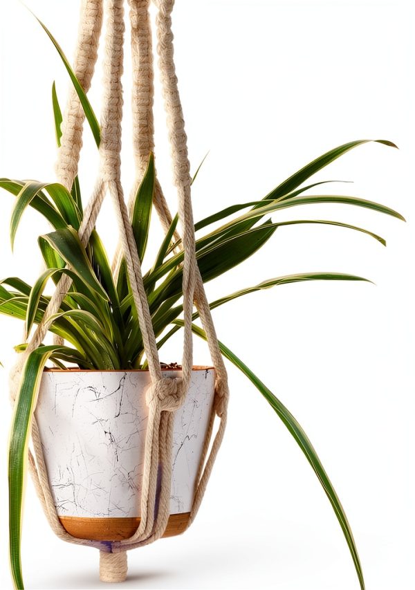 MIPON Boho Cotton Hanging Plant Hanger Ivory-2