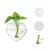 Heart Hanging Vase XXXFLOWER Glass Plant Decor-2