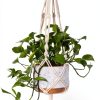 MIPON Boho Cotton Hanging Plant Hanger Ivory-4