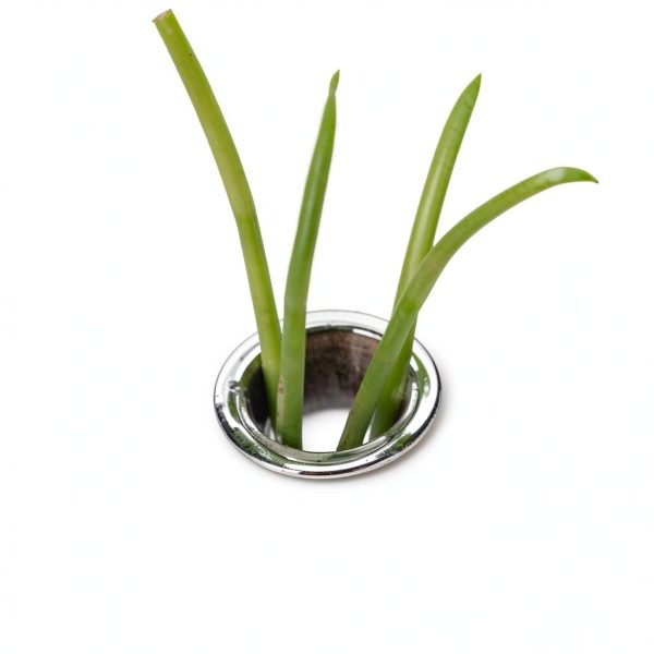 Mkono Wall Hanging Propagation Station Wooden-6