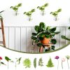 Heart Hanging Glass Vase XXXFLOWER Plant-3