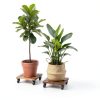 Bamworld Square Planter Caddy Brown 12-14in-5