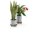 Acacia Plant Caddy Bamworld Metal Wood Brown-4