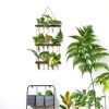 Mkono Wall Hanging Propagation Station Wooden-1