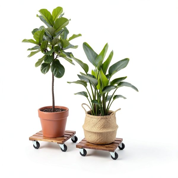 Bamworld Plant Caddy 12inch Brown Hardwood Wheels-5