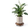 Acacia Plant Caddy Bamworld Metal Wood Brown-2