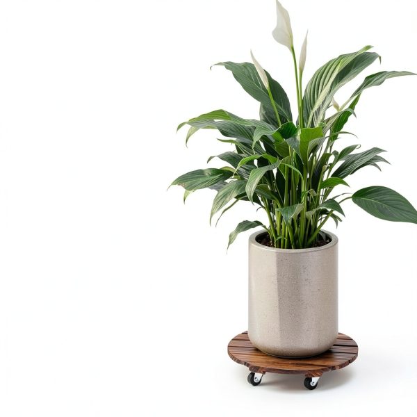 Acacia Plant Caddy Bamworld Metal Wood Brown-2
