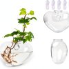 Heart Hanging Glass Vase XXXFLOWER Plant-1