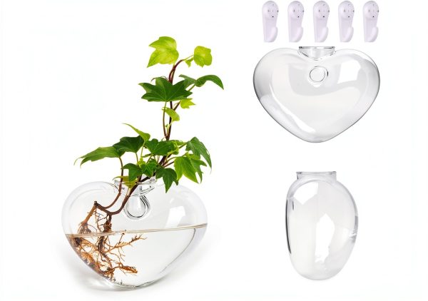 Heart Hanging Glass Vase XXXFLOWER Plant-1
