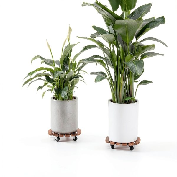 Acacia Plant Caddy Bamworld Metal Wood Brown-3