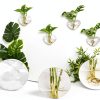 Heart Hanging Glass Vase XXXFLOWER Plant-2
