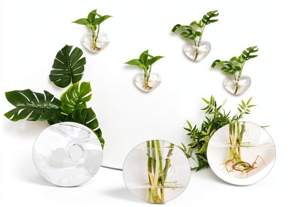 Heart Hanging Glass Vase XXXFLOWER Plant-2