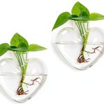 Heart Hanging Vase XXXFLOWER Glass Plant Decor-0