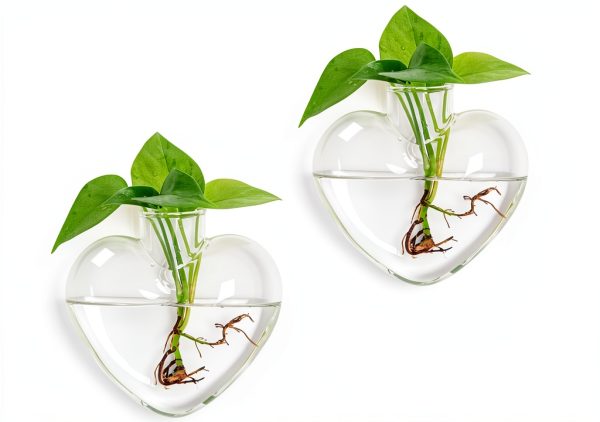 Heart Hanging Vase XXXFLOWER Glass Plant Decor-0