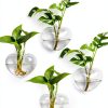 Heart Hanging Glass Vase XXXFLOWER Plant-0