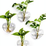 Heart Hanging Glass Vase XXXFLOWER Plant-0