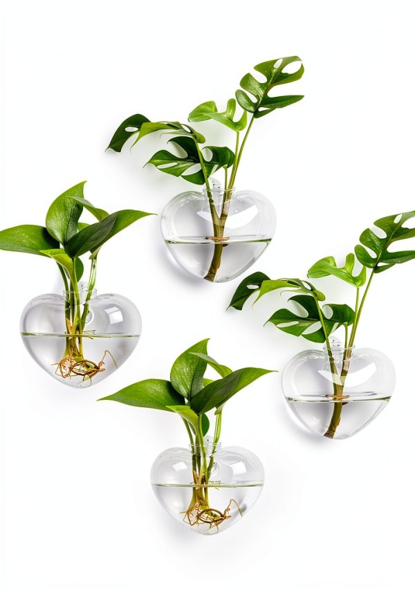Heart Hanging Glass Vase XXXFLOWER Plant-0
