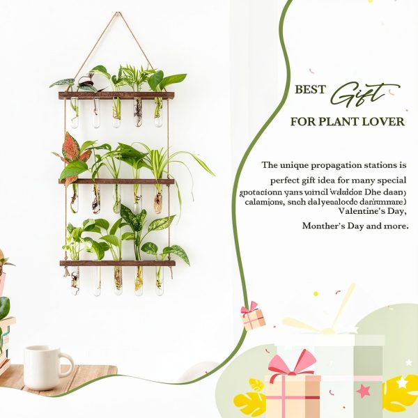 Mkono Wall Hanging Propagation Station Wooden-2
