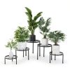 Metal Plant Stand 5 Pack Black Linpla High‑Strength Iron Stand Set-3