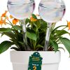 Self Watering Plant Globe PlanKKers Medium Iridescent Glass Watering-0