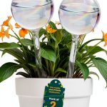 Self Watering Plant Globe PlanKKers Medium Iridescent Glass Watering-0