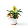 Fielda Self-Watering Planter 8 Inch Round Plastic Pot with Tray Navy-1