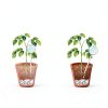 Self Watering Plant Globe PlanKKers Medium Iridescent Glass Watering-4