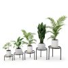 Metal Plant Stand 5 Pack Black Linpla High‑Strength Iron Stand Set-1