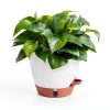 Fielda Self-Watering Planter 8 Inch Round Plastic Pot with Tray Navy-2