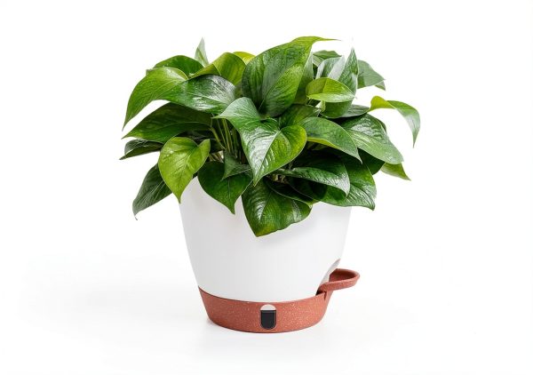 Fielda Self-Watering Planter 8 Inch Round Plastic Pot with Tray Navy-2