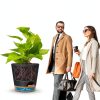 Plastic Planter Set YNNICO 6-Piece Indoor Combo with Self-Watering-5