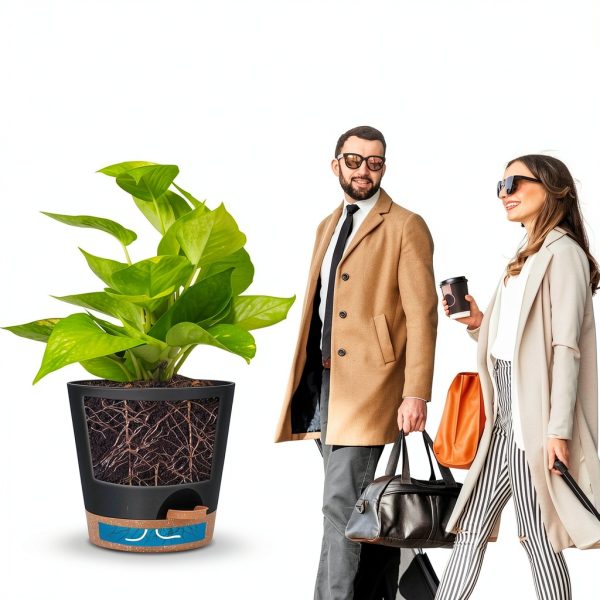 Plastic Planter Set YNNICO 6-Piece Indoor Combo with Self-Watering-5