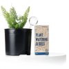 Self Watering Plant Globe PlanKKers Medium Iridescent Glass Watering-6