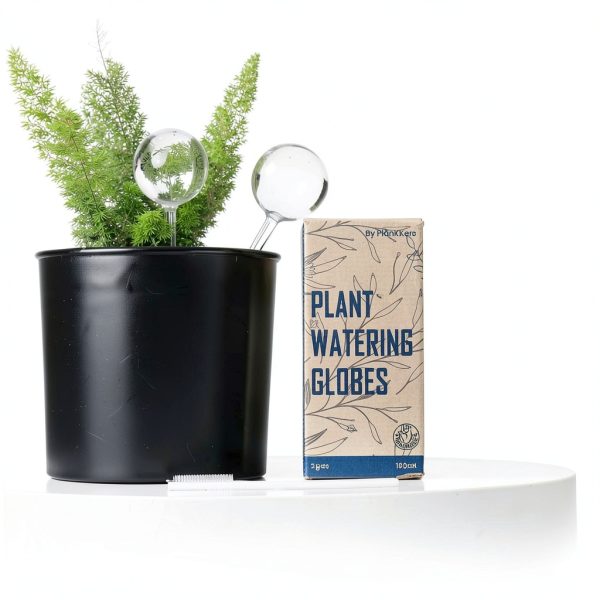 Self Watering Plant Globe PlanKKers Medium Iridescent Glass Watering-6