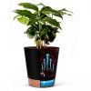 Plastic Planter Set YNNICO 6-Piece Indoor Combo with Self-Watering-4