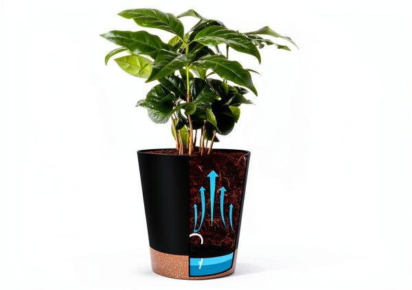 Plastic Planter Set YNNICO 6-Piece Indoor Combo with Self-Watering-4